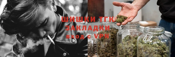 прущие крисы Лабытнанги